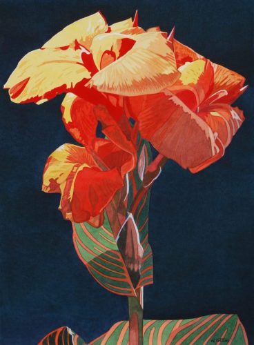 34-MC-Canna-II